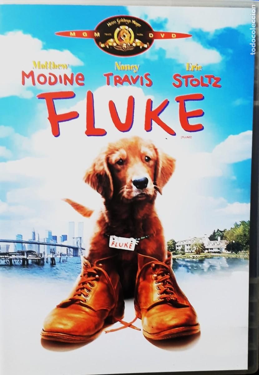 Cine: FLUKE. CINE EN DVD. COLECCION.