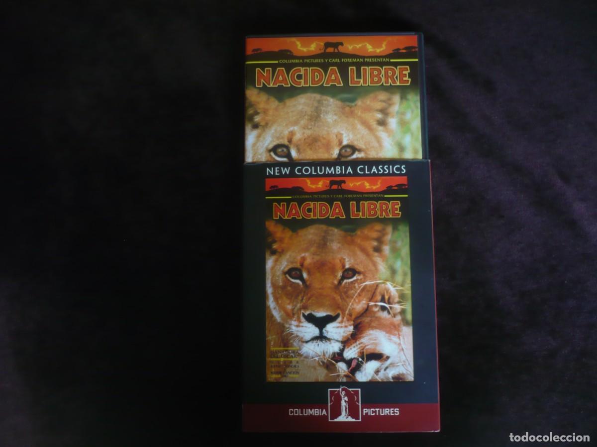 Cine: nacida libre - dvd como nuevo