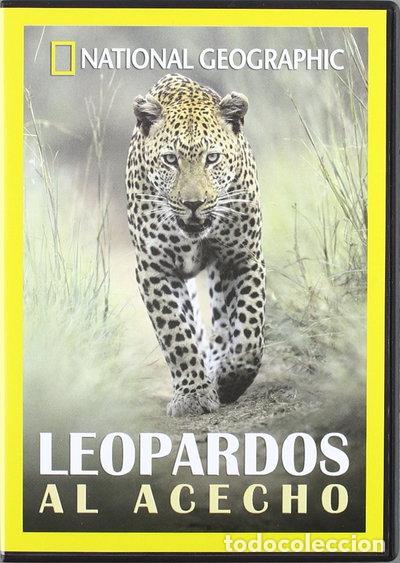 Cine: Leopardos al Acecho- 8436022283558