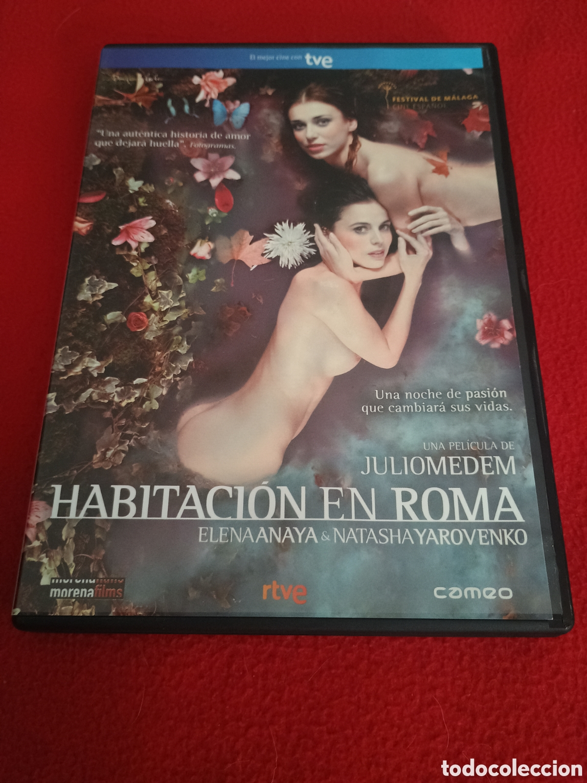 Cine: Dvd habitaci&oacute;n en roma - julio medem Elena anaya