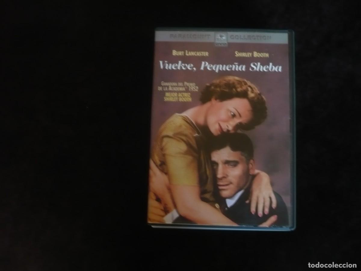 Cine: vuelve peque&ntilde;a sheba - burt lancaster y shirley booth - dvd como nuevo