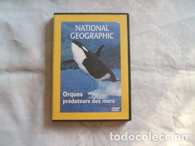 Cin&eacute;ma: National Geographic: Orques, pr&eacute;dateurs des mers- 3339161295305