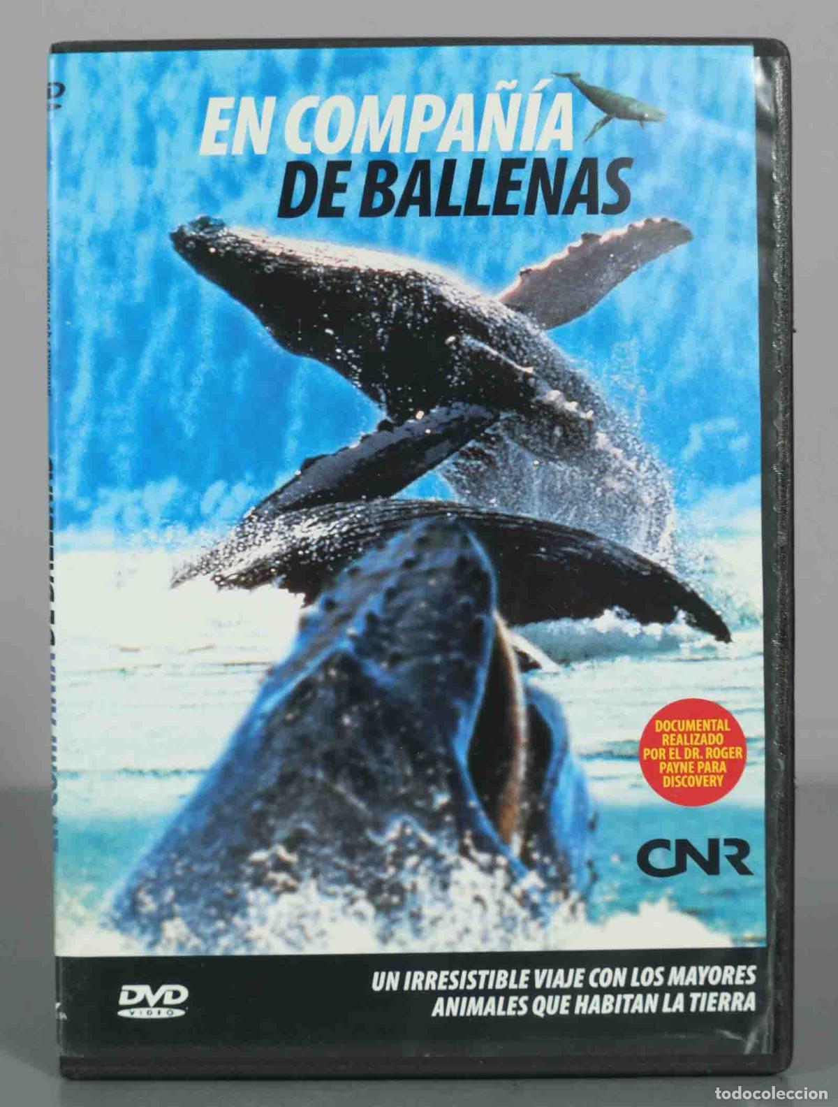 Cine: DVD. En compa&ntilde;&iacute;a de ballenas - Un irresistible viaje con los mayores animales que habitan la tierra
