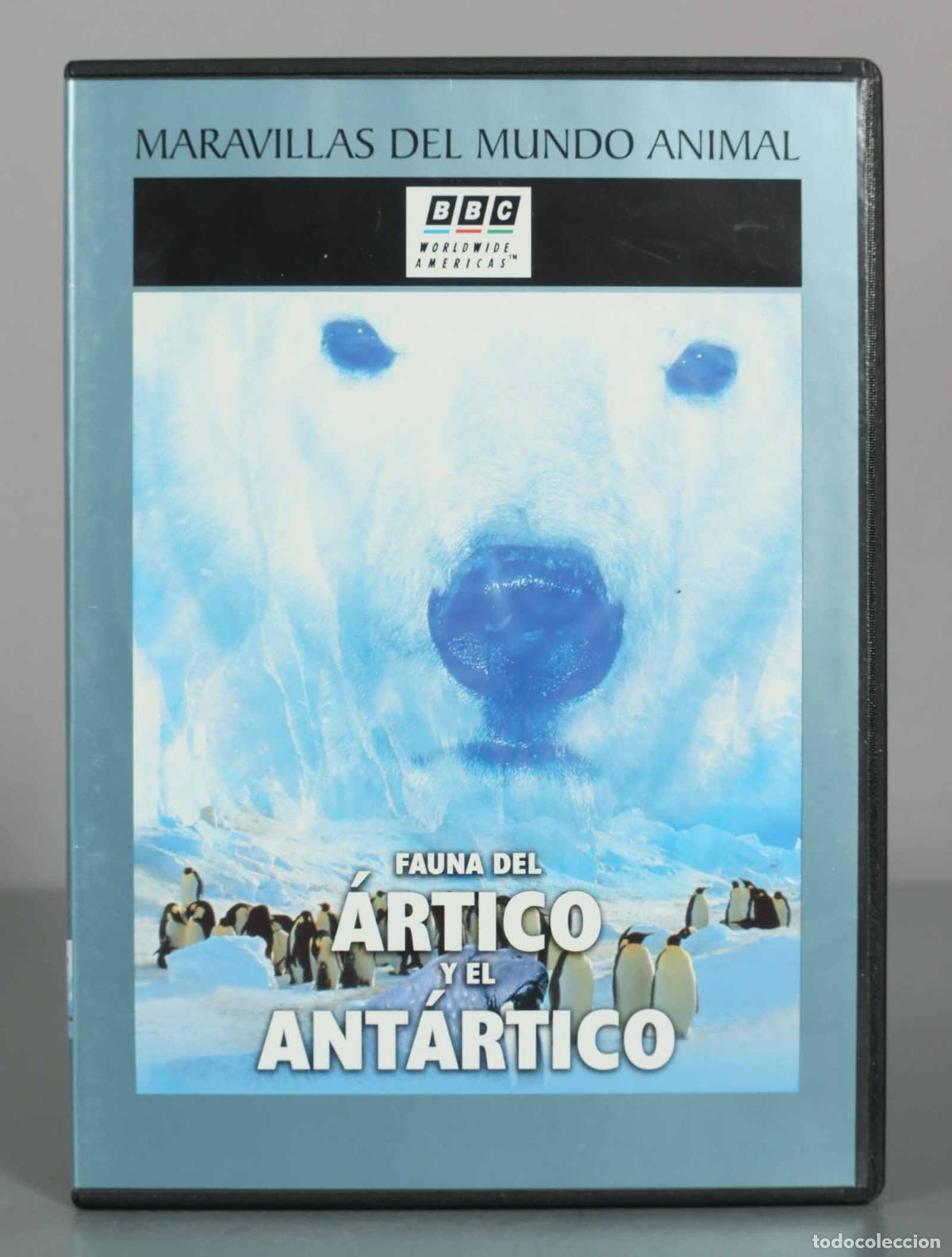 Cine: DVD. Fauna del &Aacute;rtico y el Ant&aacute;rtico - Maravillas del Mundo Animal - BBC Worldwide Americas - Dorli