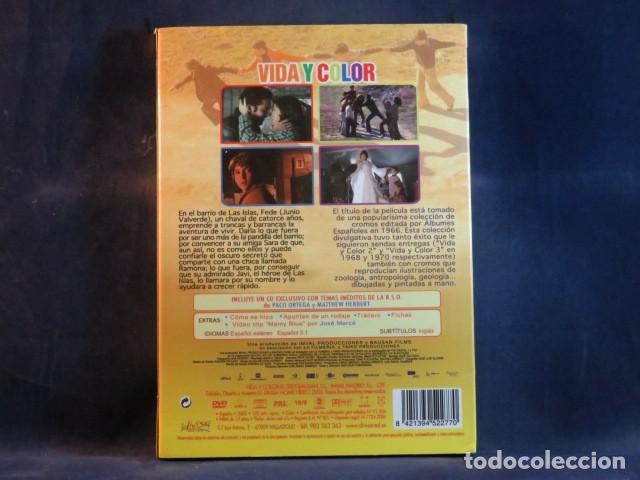 Cine: VIDA Y COLOR - DVD - - Foto 2