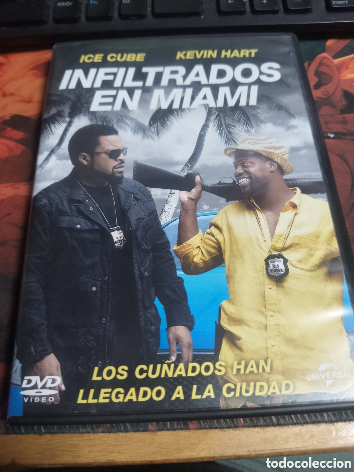 Cine: Infiltrados en Miami DVD - 8