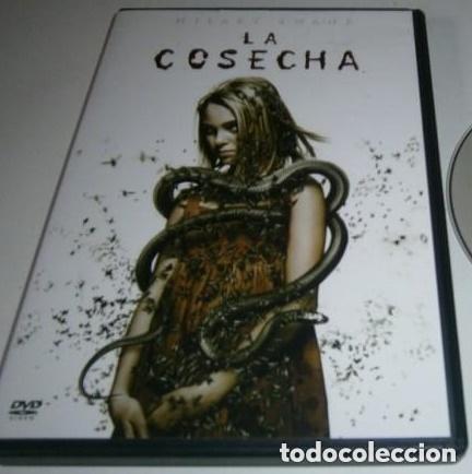 Cine: DVD - LA COSECHA - AnnaSophia Robb - Hilary Swank