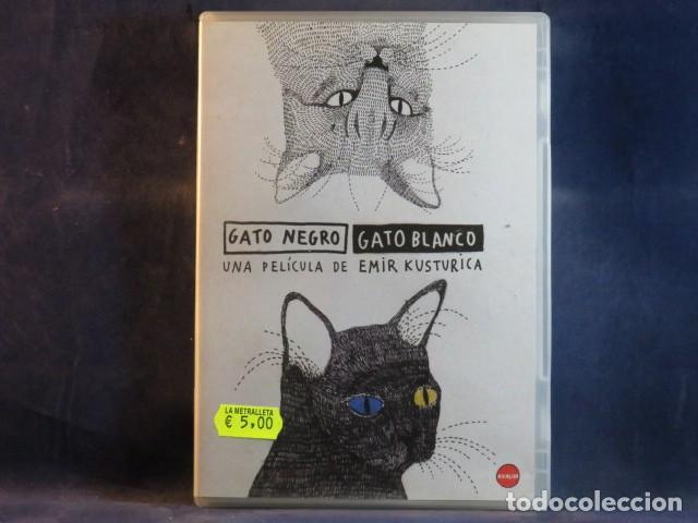 Cine: GATO NEGRO GATO BLANCO - DVD