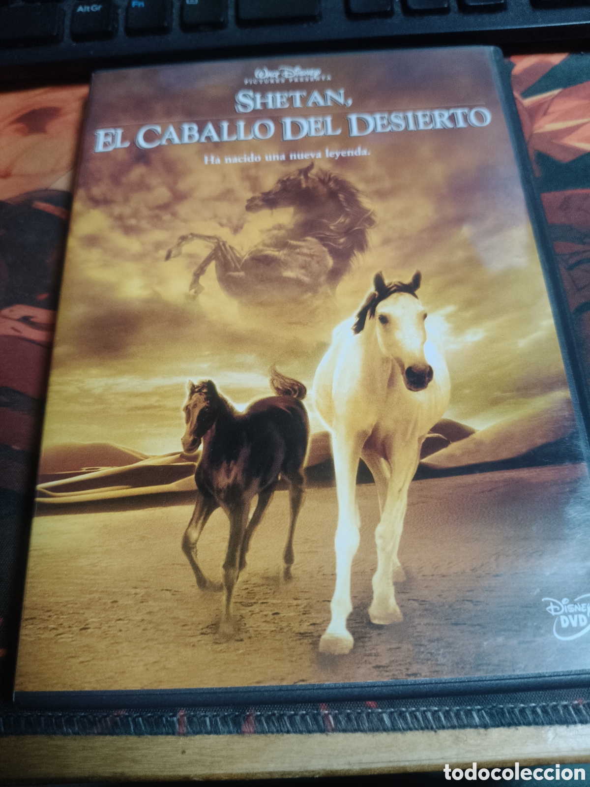 Cinema: Shetan el caballo del desierto DVD - 16