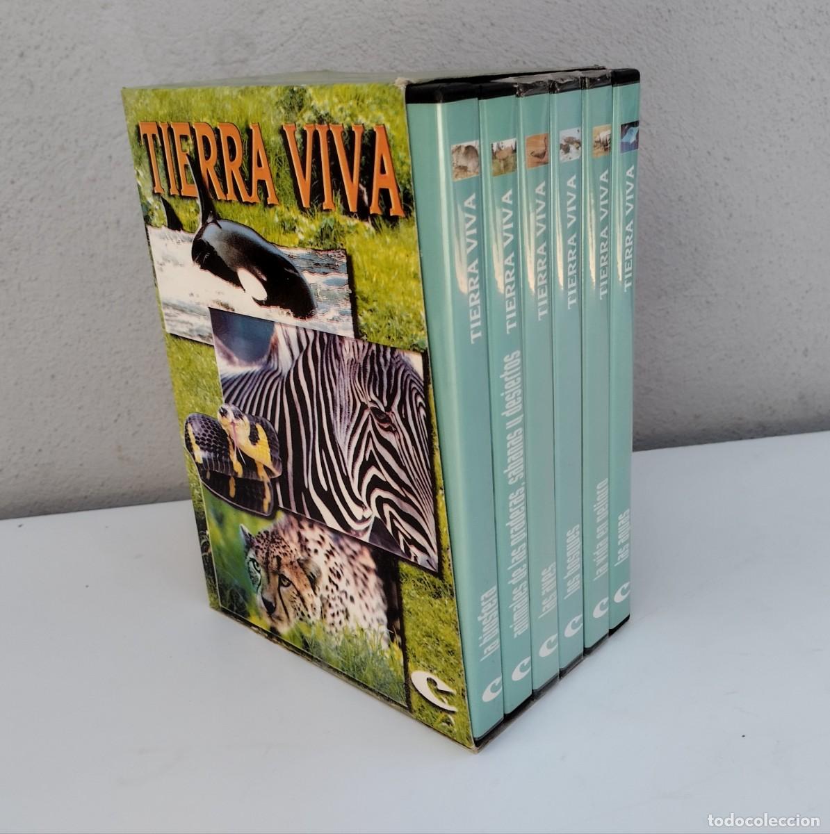 Cinema: Colecci&oacute;n de dvd's Tierra Viva. A&ntilde;o 2002
