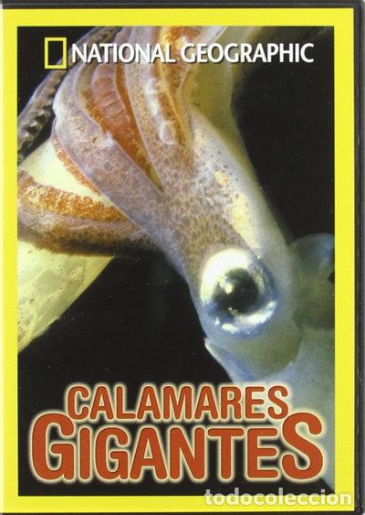 Cine: Calamares Gigantes- 8436022282810