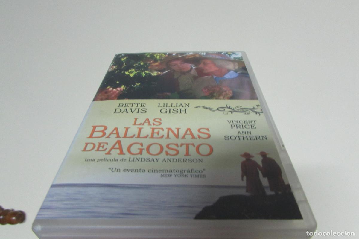 Cine: LAS BALLENAS DE AGOSTO