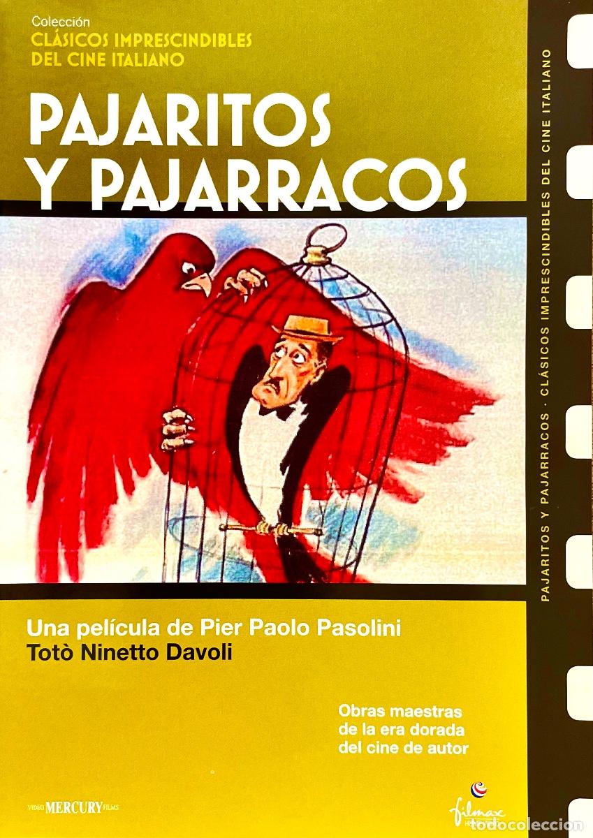 Cinema: DVD. PAJARITOS Y PAJARRACOS. Tot&oacute;. Ninetto Davoli. Femi Benussi. Pier Paolo Pasolini. CASI NUEVO.