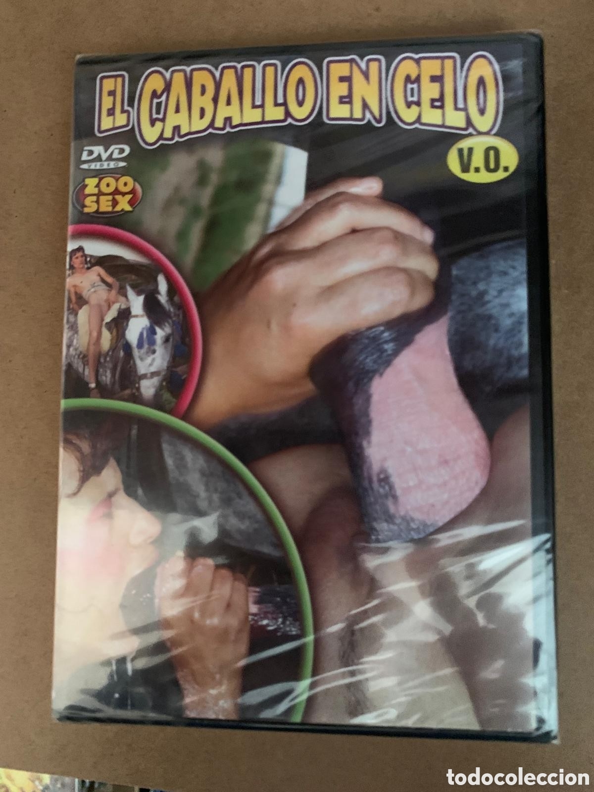 Cine: DVD COM A VEGA NA MAO CINE X