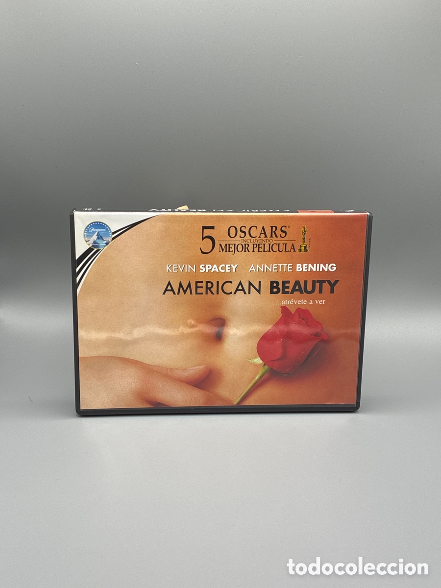 Cine: American Beauty (Horizontal) DVD