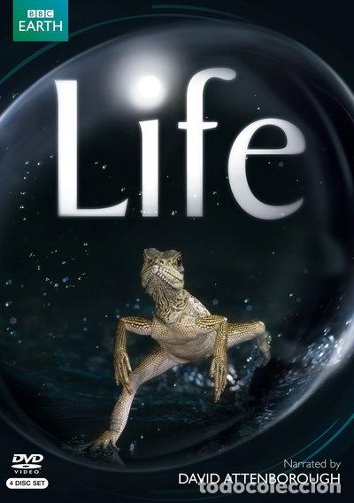 Cinema: Life (5051561030680)