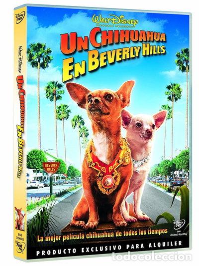 Cine: Un chihuahua en Beverly Hills- 8717418184162