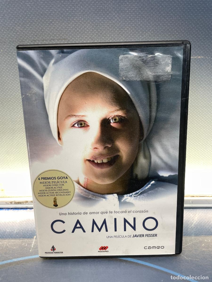 Cine: DVD Camino, una historia de amor que te tocar&aacute; el coraz&oacute;n.