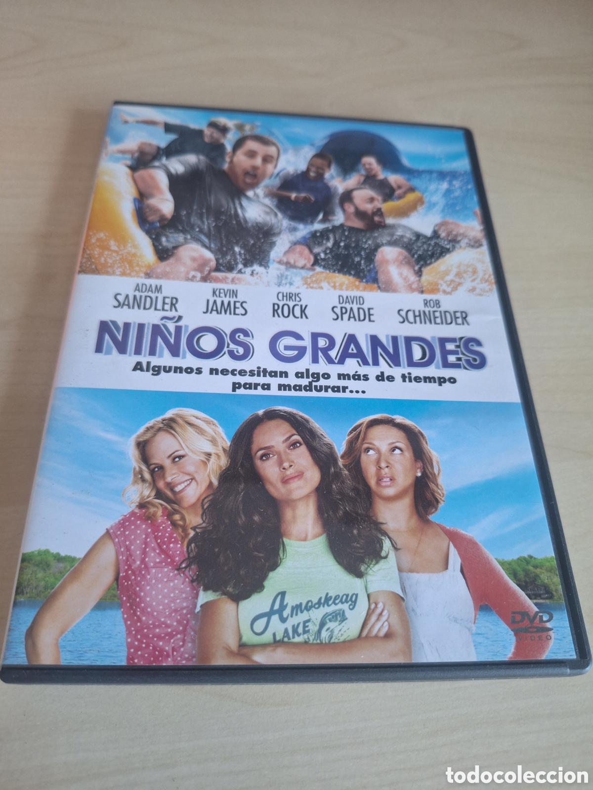 Cine: RD72 ni&ntilde;os grandes DVD SEGUNDAMANO