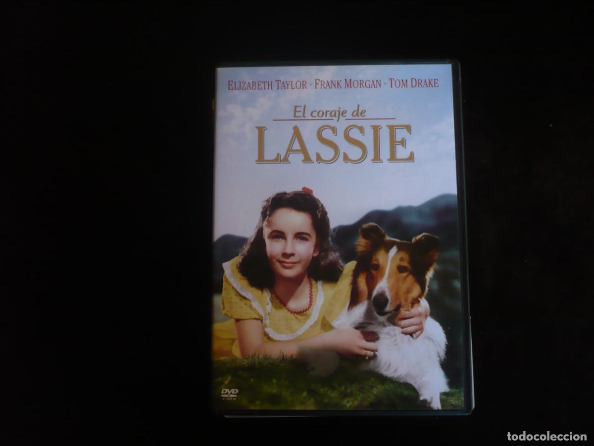 Cine: el coraje de lassie - elizabeth taylor - dvd como nuevo
