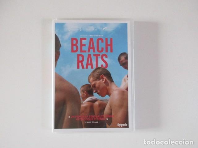 Cine: BEACH RATS - PEL&Iacute;CULA 2017 - IDIOMA INGL&Eacute;S + SUBT&Iacute;TULOS EN FRANC&Eacute;S - DVD CINE GAY