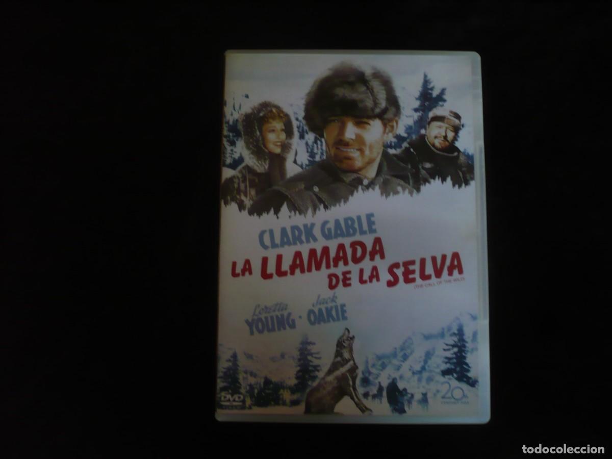 Cine: la llamada de la selva - clark gable - dvd como nuevo