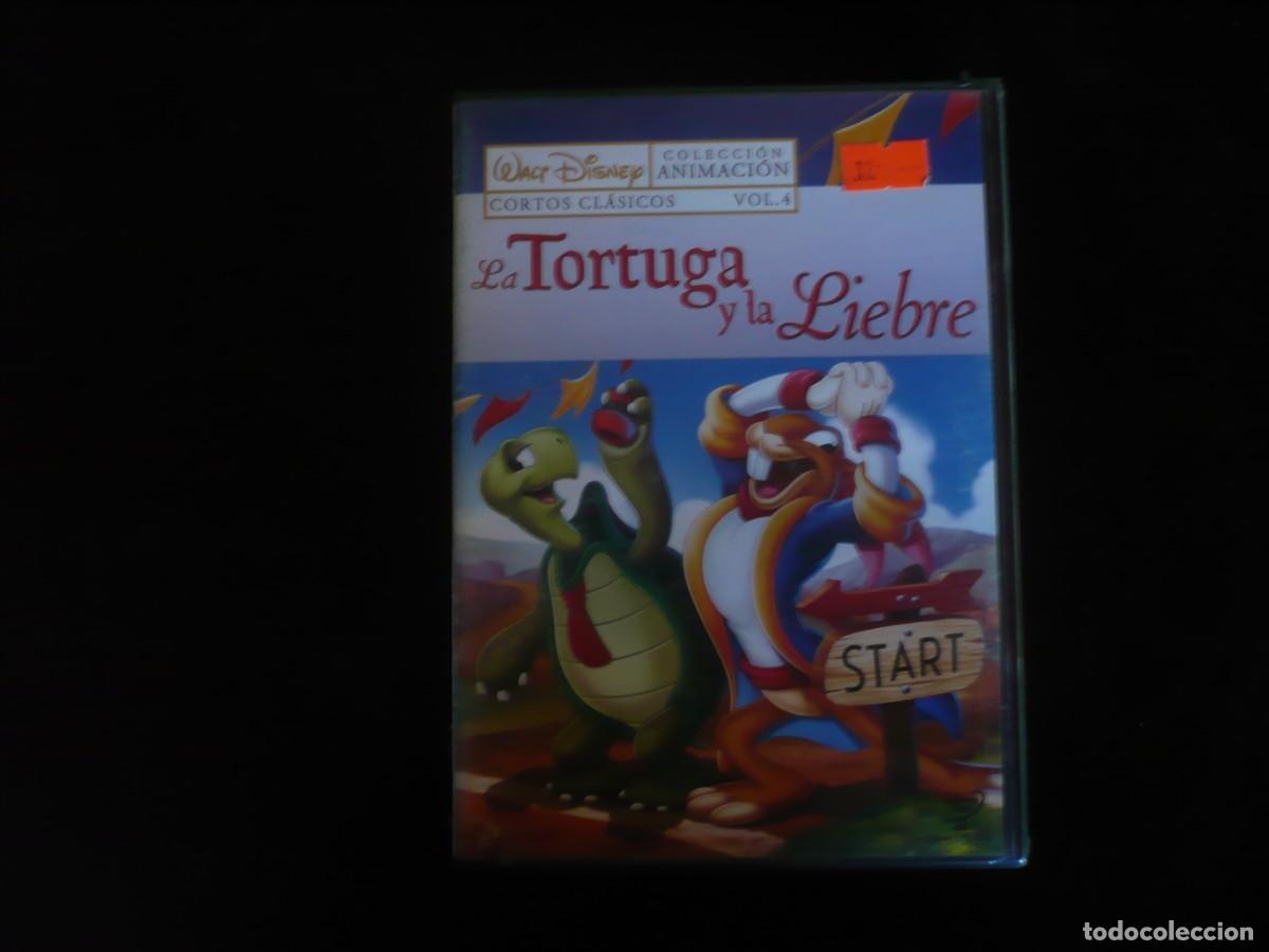 Cine: la tortuga y la liebre - dvd nuevo precintado