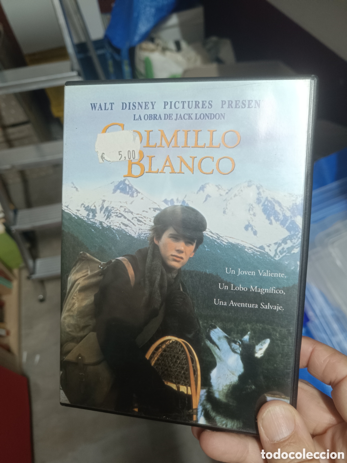 Cine: Colmillo Blanco (Walt Disney)