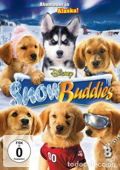 Cine: Snow Buddies - Abenteuer in Alaska- 8717418150723