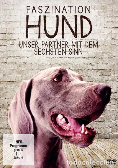 Cin&eacute;ma: Faszination Hund - Unser Partner mit dem sechsten Sinn- 4006448762254