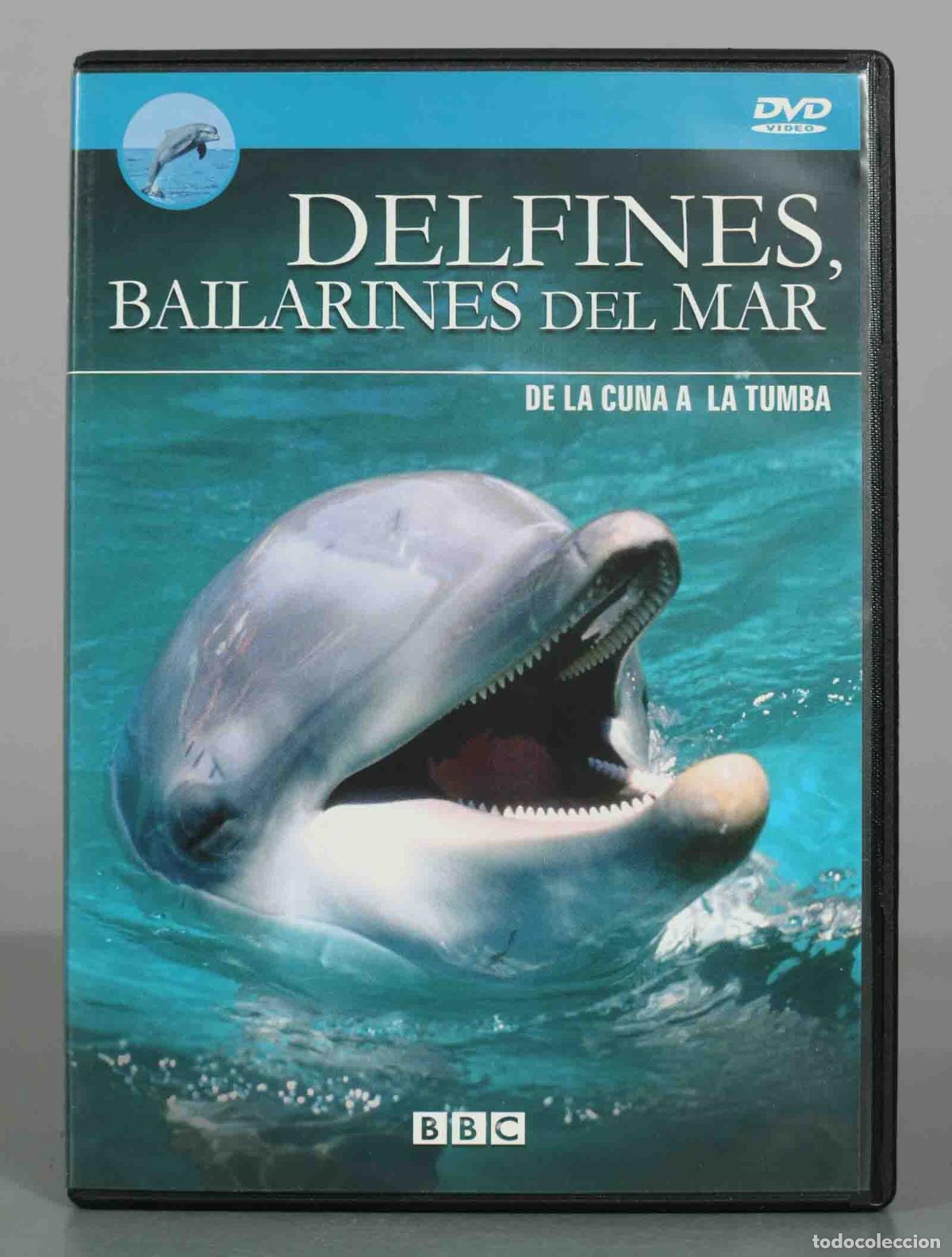Cine: DVD. Delfines, bailarines del mar - De la cuna a la tumba - BBC
