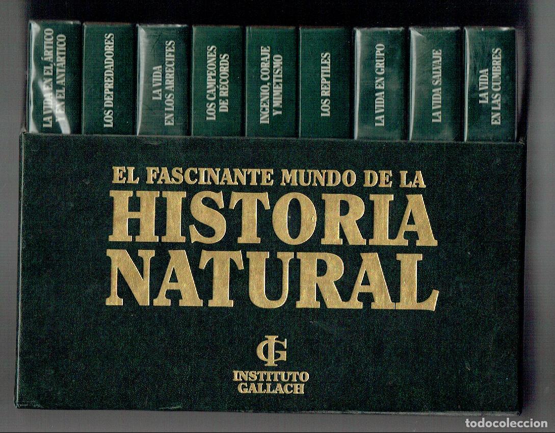Cine: EL FASCINANTE MUNDO DE LA HISTORIA NATURAL. 18 DVD. EN DOS EXPOSITORES. VHS.(DVD/&Ntilde;)G.