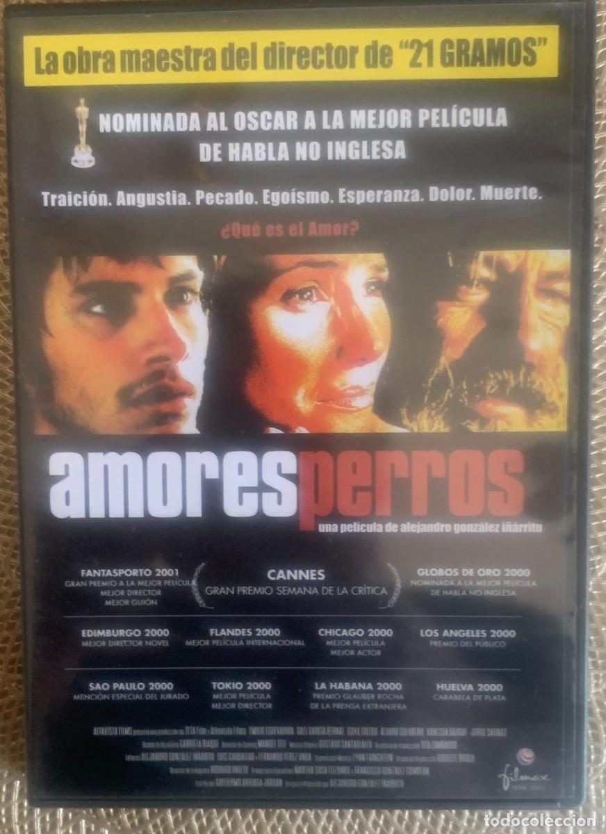 Cine: AMORES PERROS (Alejandro Gonz&aacute;lez I&ntilde;&aacute;rritu, 2000)