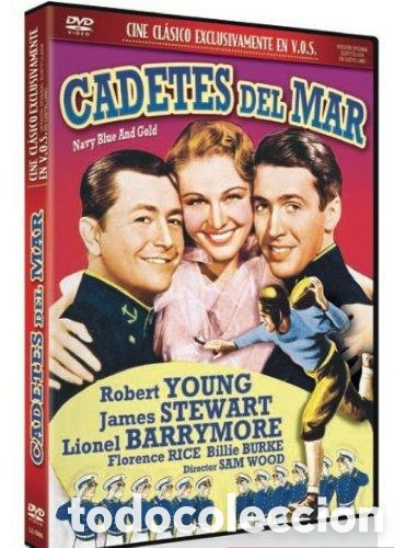Cine: Cadetes del mar - DVD