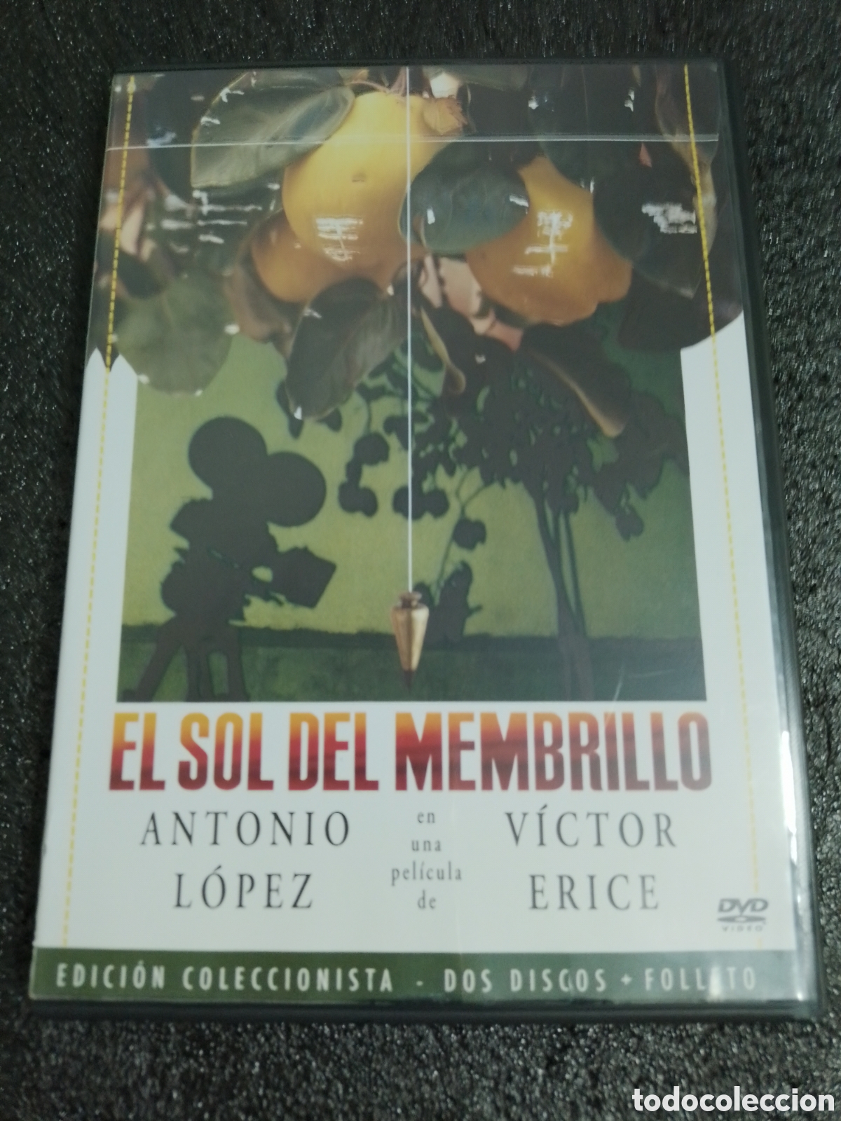 Cine: EL SOL DEL MEMBRILLO - EDICION COLECCIONISTA 2 DVDs - DE VICTOR ERICE