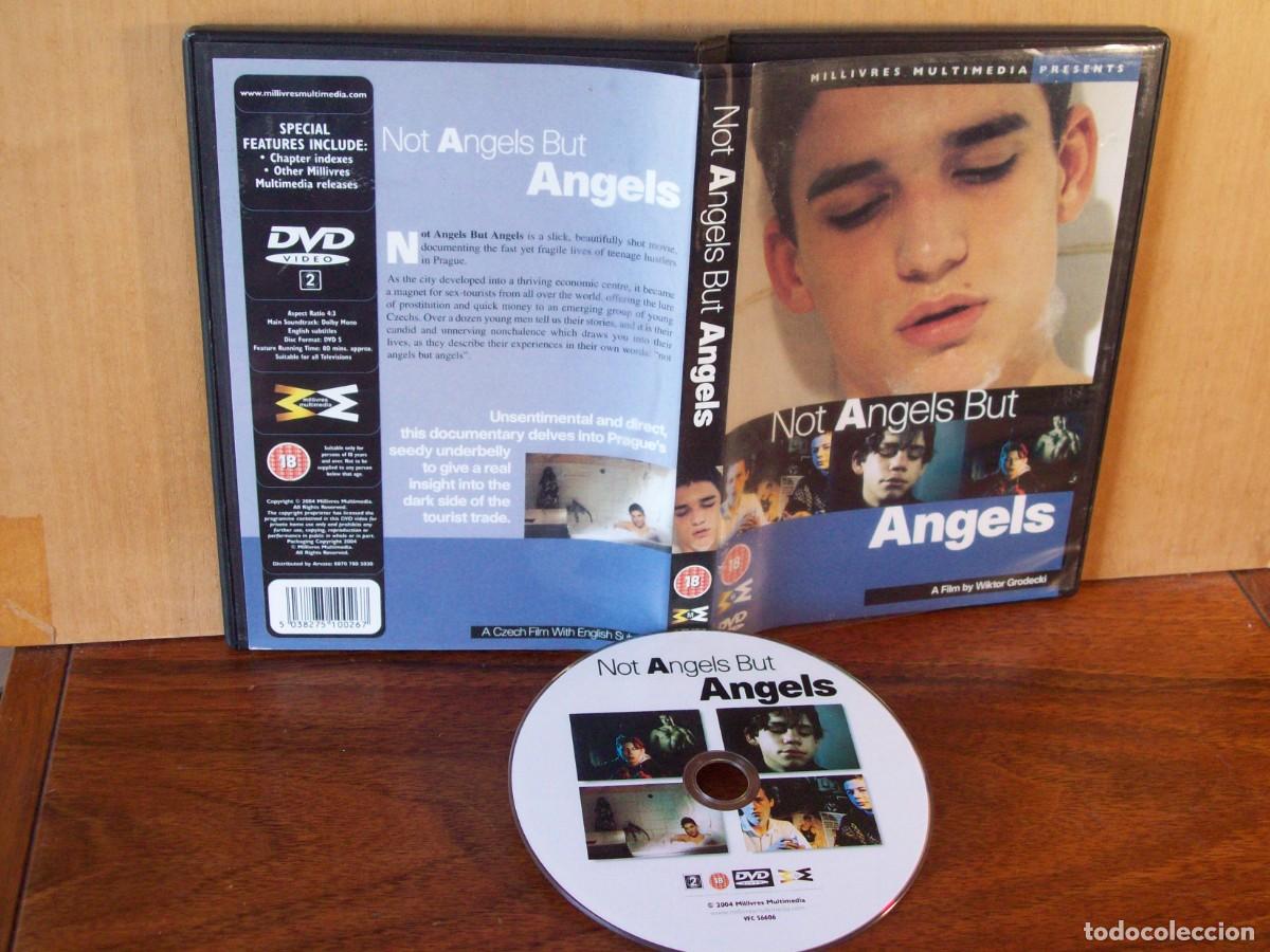 Cine: NOT ANGELS BUT - DOCUMENTARY EN INGLES - DVD