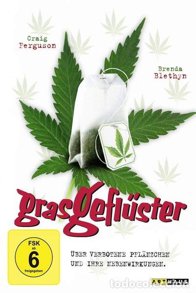 Cine: Grasgefl&uuml;ster- 4006680064420