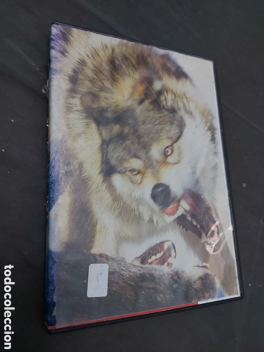 Kino: PELICULA DOG SOLDIERS