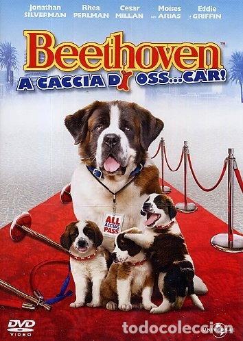 Cine: Beethoven: A caccia di oss...car!- 5050582604986