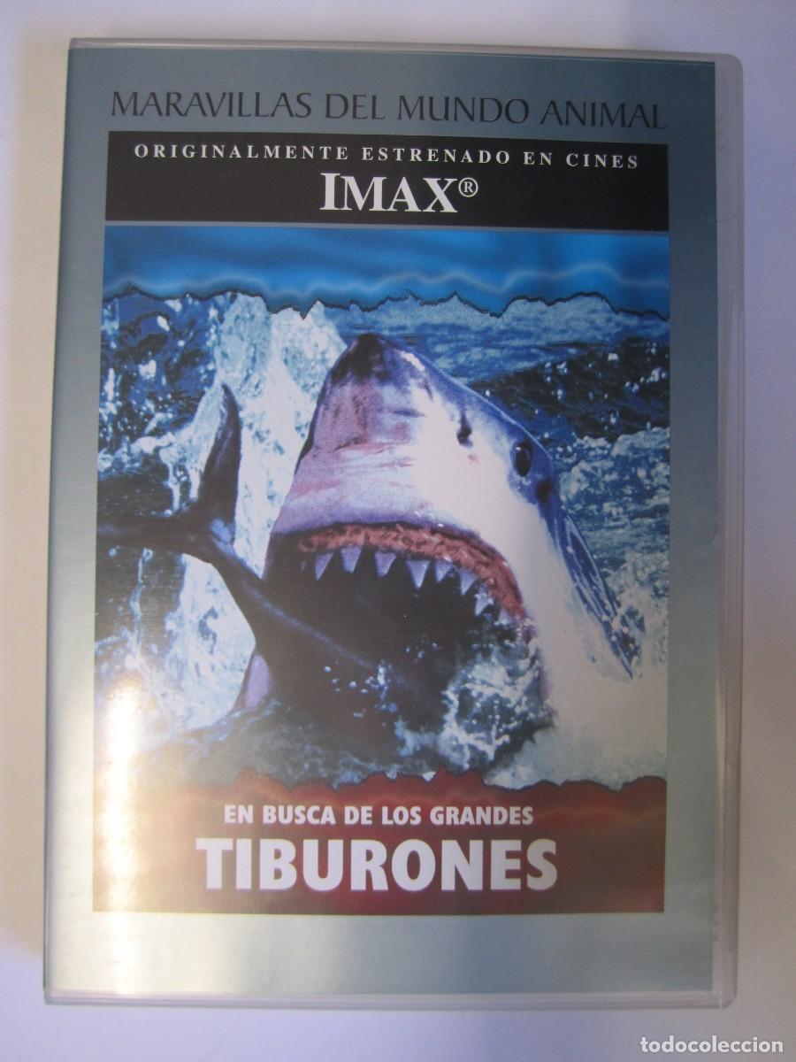 Cin&eacute;ma: dvd en busca de los grandes tiburones maravillas del mundo animal