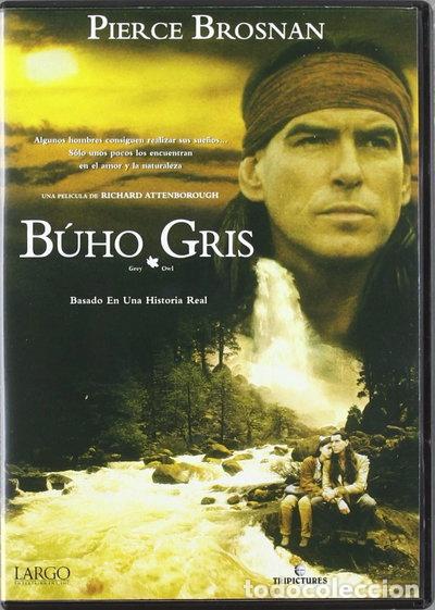 Cine: B&uacute;ho Gris- 8422632051373