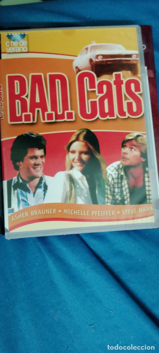Cine: BAD CATS DVD CINE L-HC