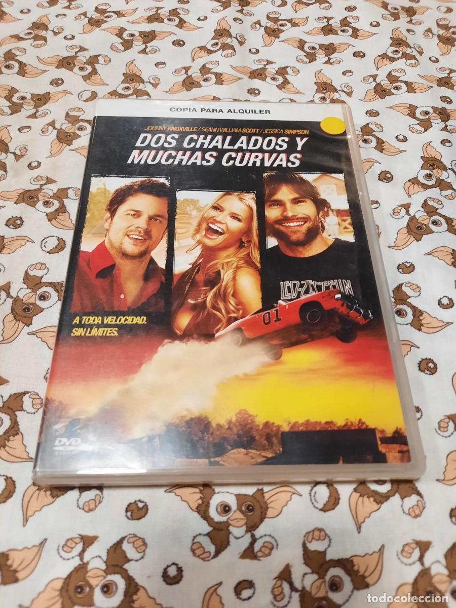 Cine: PELICULA EN DVD DOS CHALADOS Y MUCHAS CURVAS