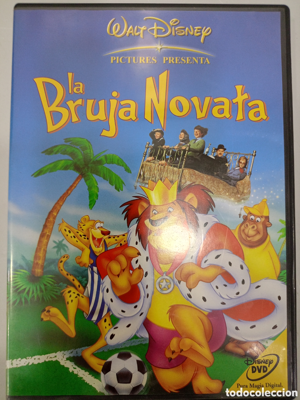Cine: DVD La bruja novata - buen estado