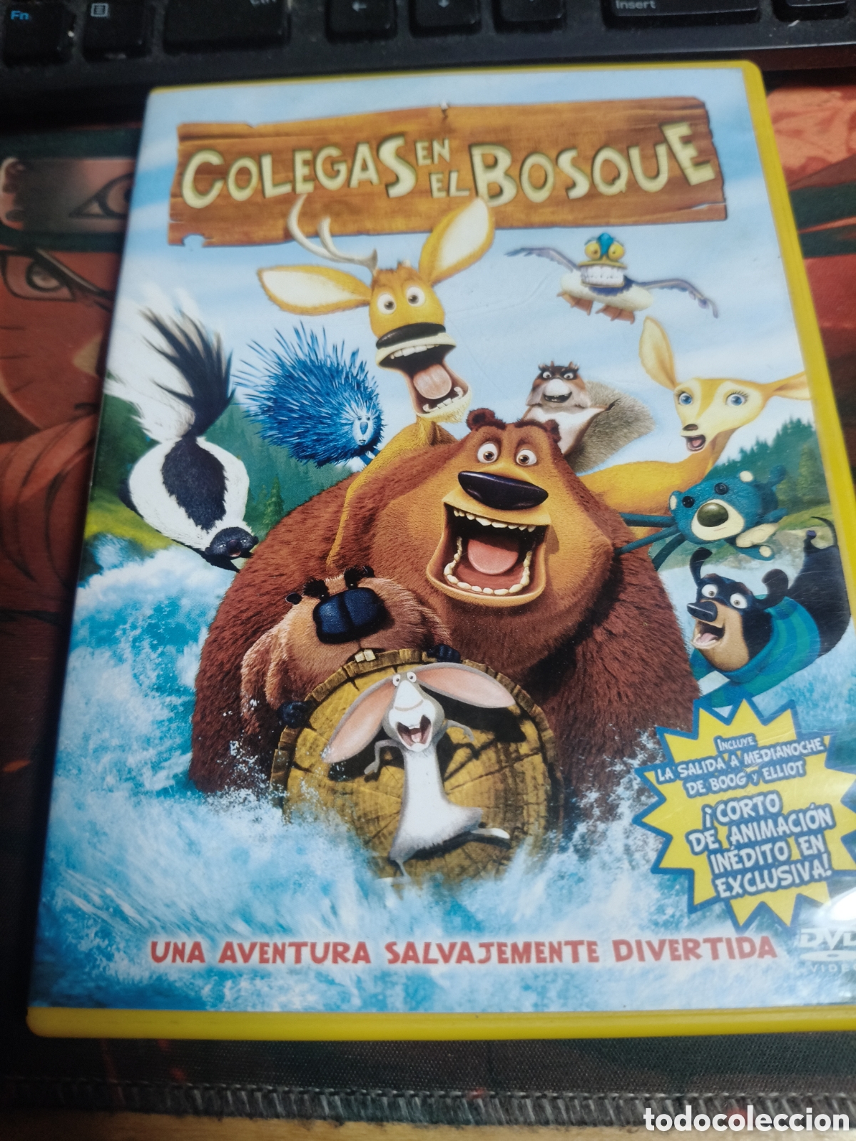 Cine: Colegas en el bosque DVD - 27