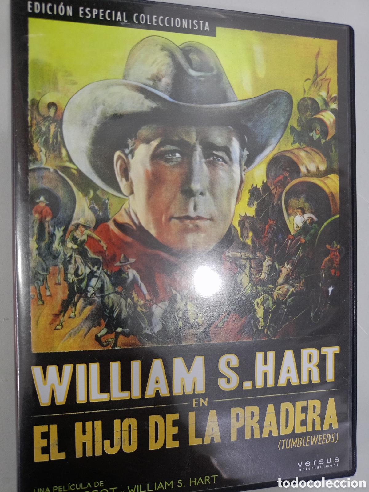 Cine: DVD El hijo de la pradera -
