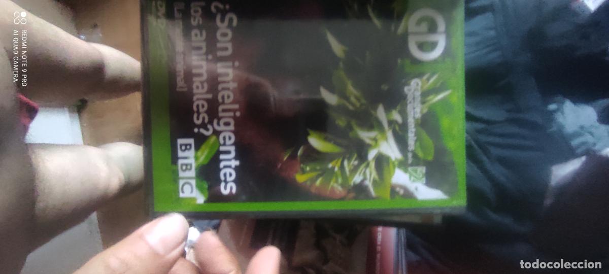 Cine: Son inteligentes los animales? DVD