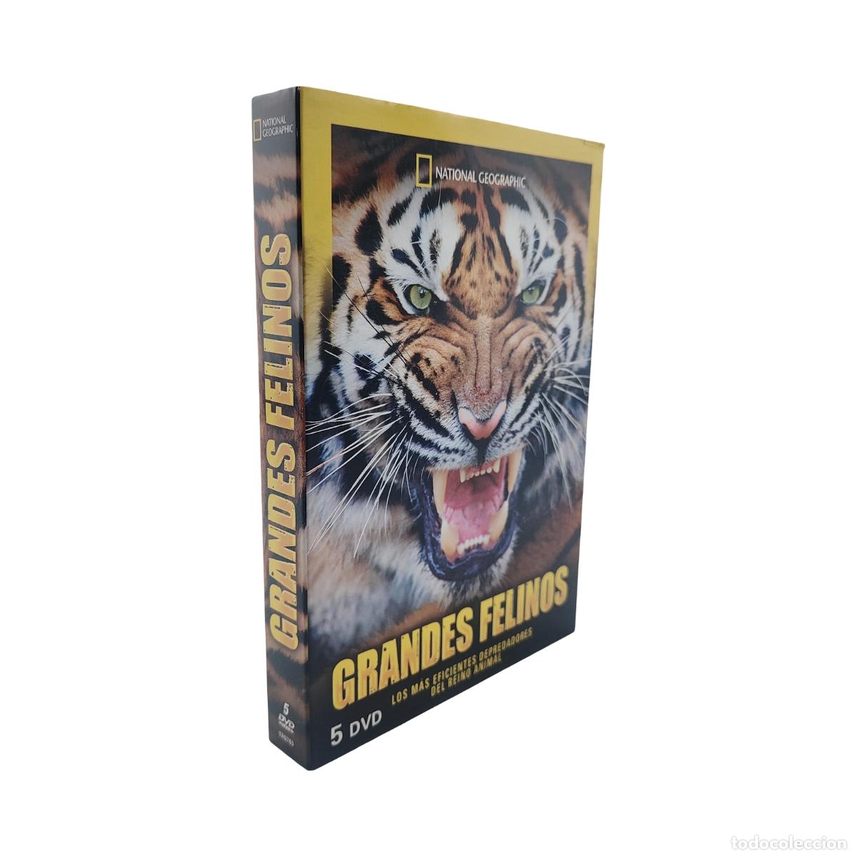 Cine: GRANDES FELINOS NATIONAL GEOGRAPHIC