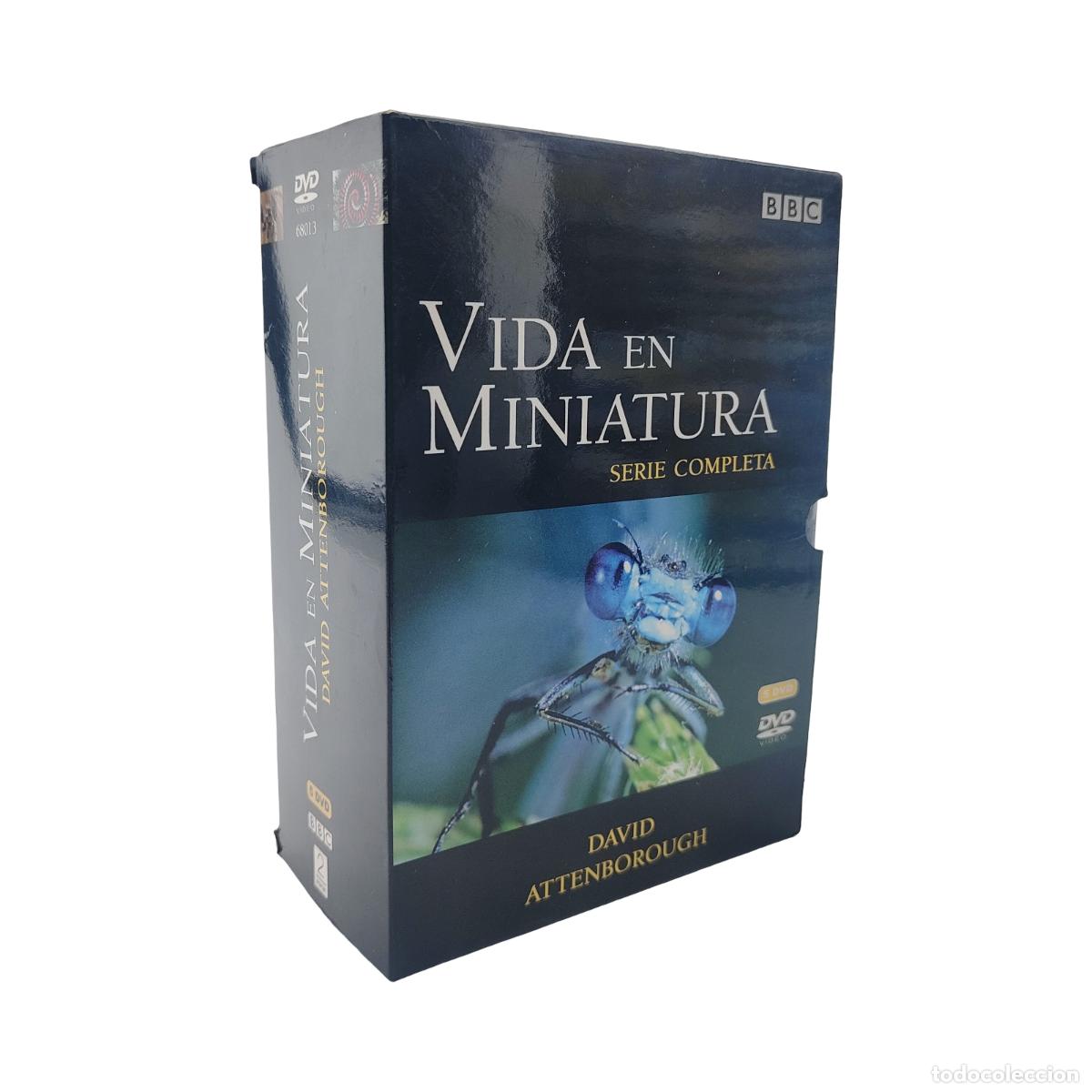 Cine: VIDA EN MINIATURA SERIE COMPLETA