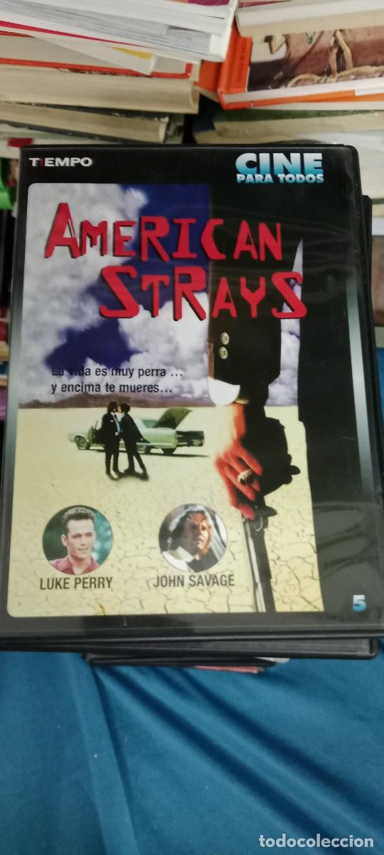 Cine: AMERICAN STRAYS DVD CINE GG-TOF